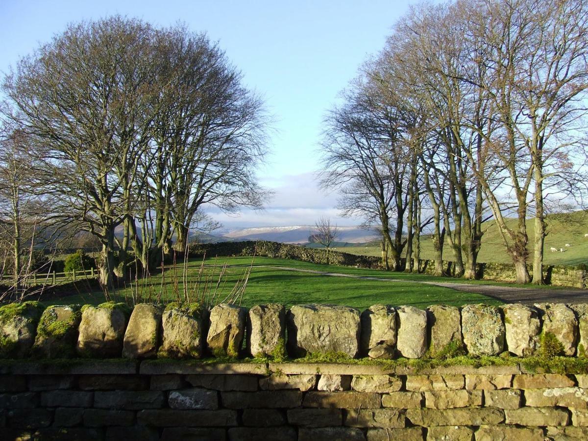 Old Camms *